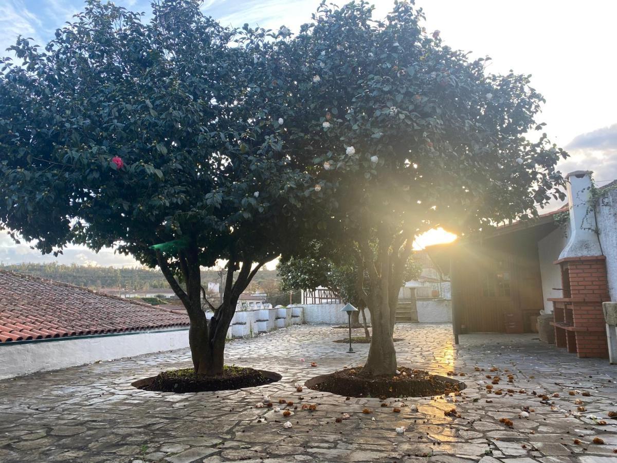 Casa Da Ponte, Coja Acomodação com café da manhã Exterior foto